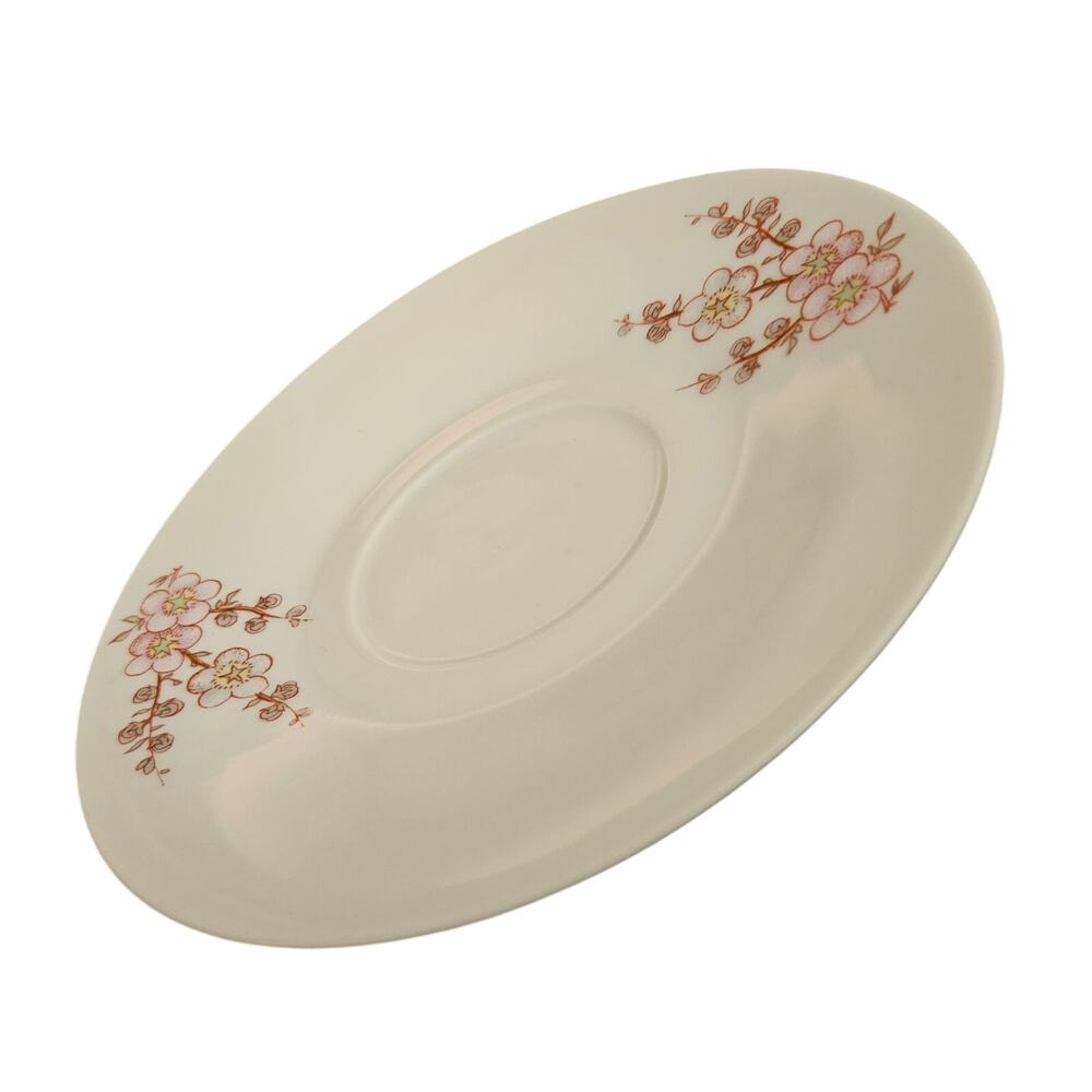 EPIAG D.F. Czechoslovakia Carlsbad Floral Porcelain Saucers Set of 2